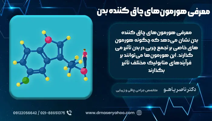 معرفی هورمون‌های چاق کننده بدن