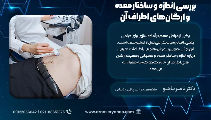 بررسی اندازه و ساختار معده و ارگان‌های اطراف آن