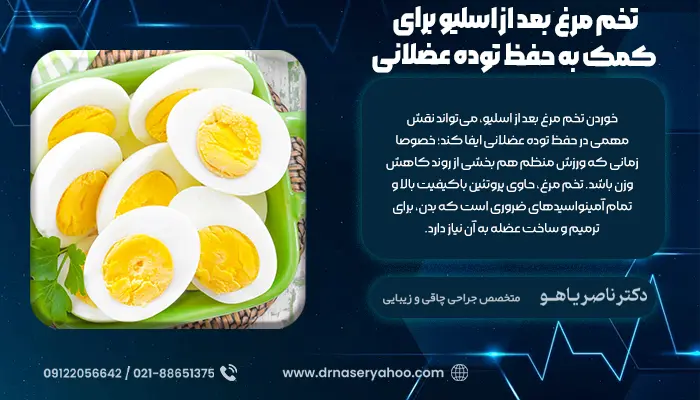 تخم‌ مرغ بعد از اسلیو برای کمک به حفظ توده عضلانی